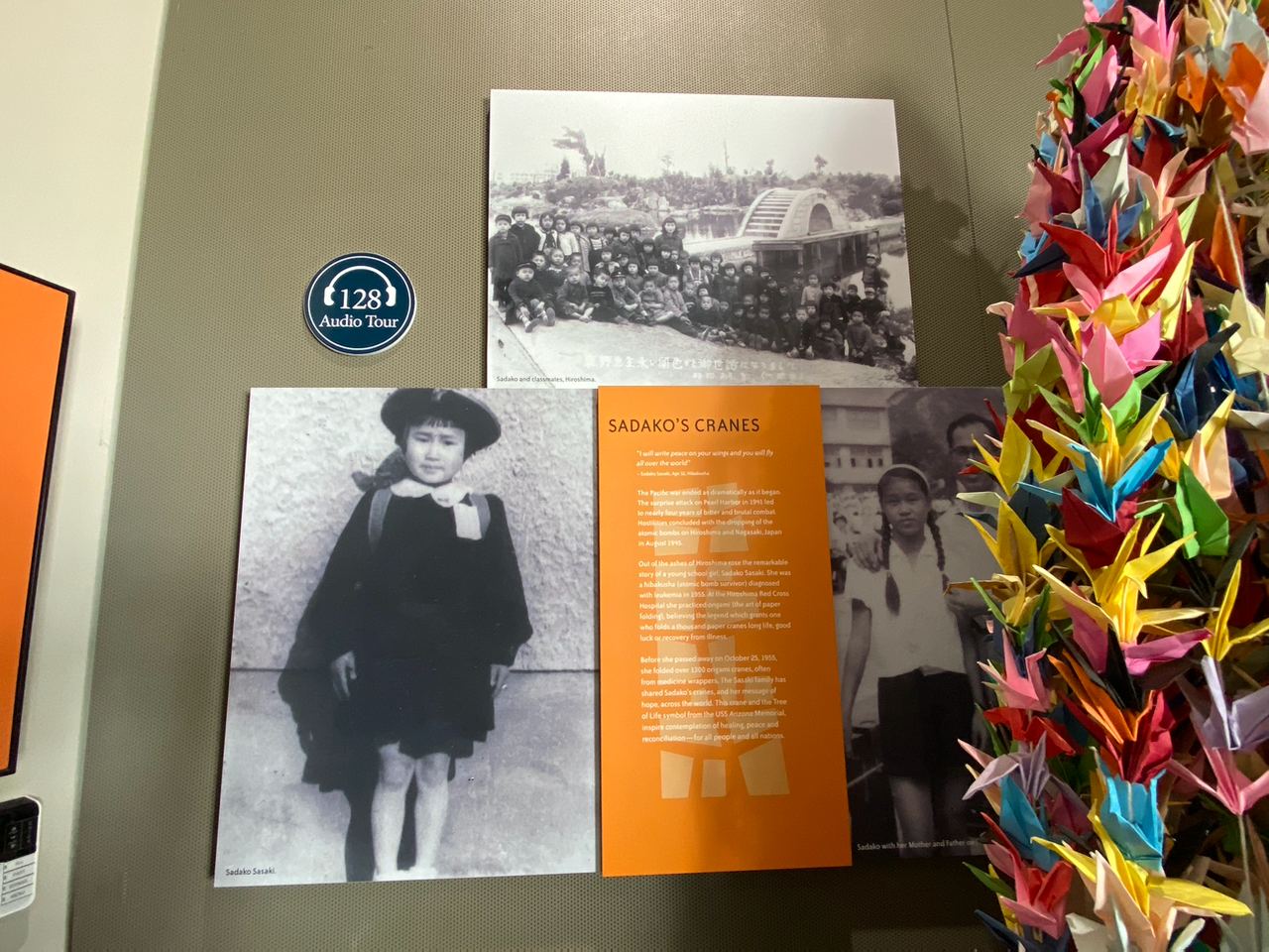 photo_2022-11-12_21-27-07